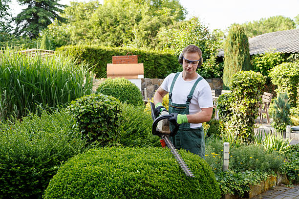 Soil Testing and Treatment in Carpinteria, CA